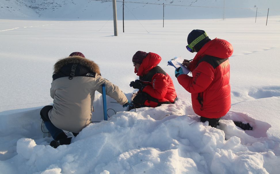 「中国气象局」又一轮大雪发货中，如何在人群中找出气象人？看他们看雪的方式