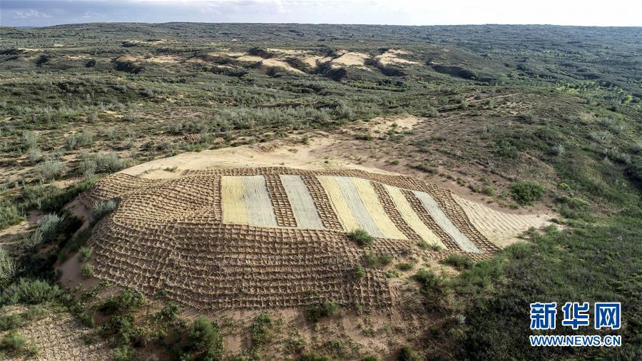 新华网■从一粒沙看不断扩大的中国绿色版图