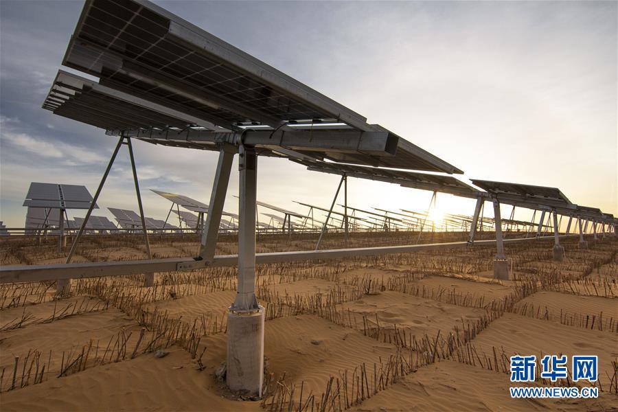 新华网■从一粒沙看不断扩大的中国绿色版图