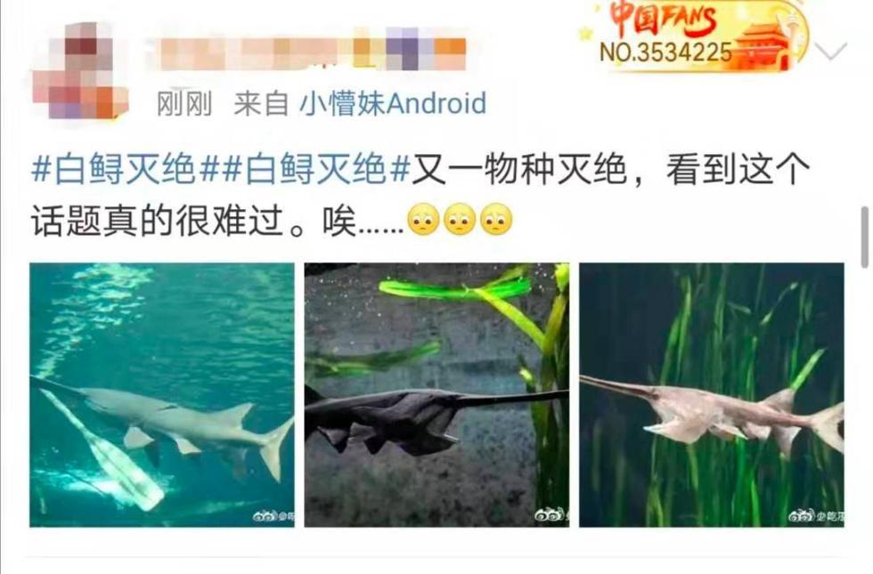 科技日报■又一个物种灭绝，中国淡水鱼之王未能跨入2020……