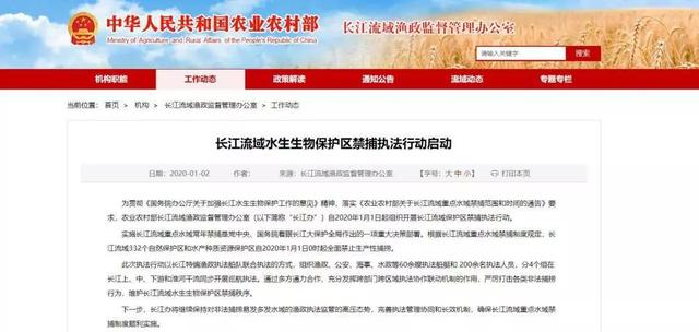 中国之声@独家！为何长江白鲟灭绝十年后才宣布？研究人员这样说....