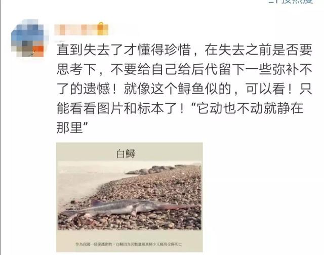 中国之声@独家！为何长江白鲟灭绝十年后才宣布？研究人员这样说....