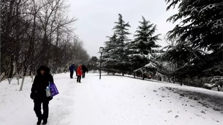 「齐鲁网」雪要来了！4号到7号山东南部将迎来大到暴雪