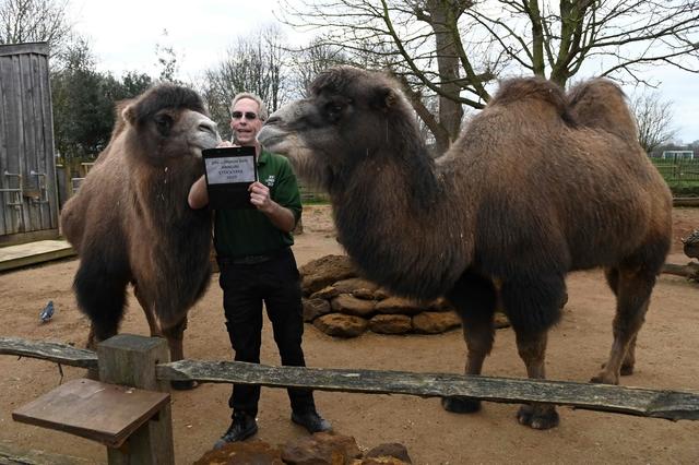 [人民网]伦敦动物园进行动物年度盘点