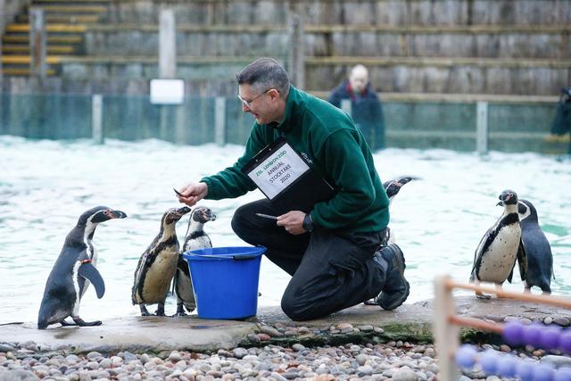 [人民网]伦敦动物园进行动物年度盘点
