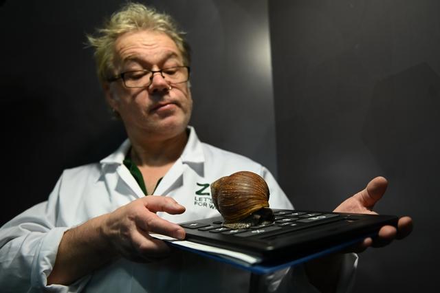 [人民网]伦敦动物园进行动物年度盘点