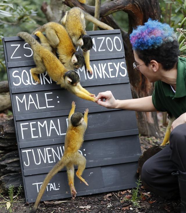 [人民网]伦敦动物园进行动物年度盘点