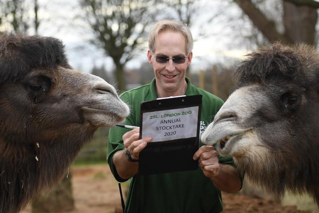 [人民网]伦敦动物园进行动物年度盘点