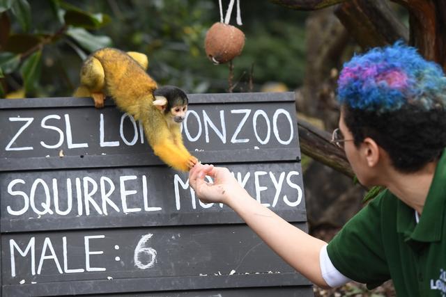 [人民网]伦敦动物园进行动物年度盘点