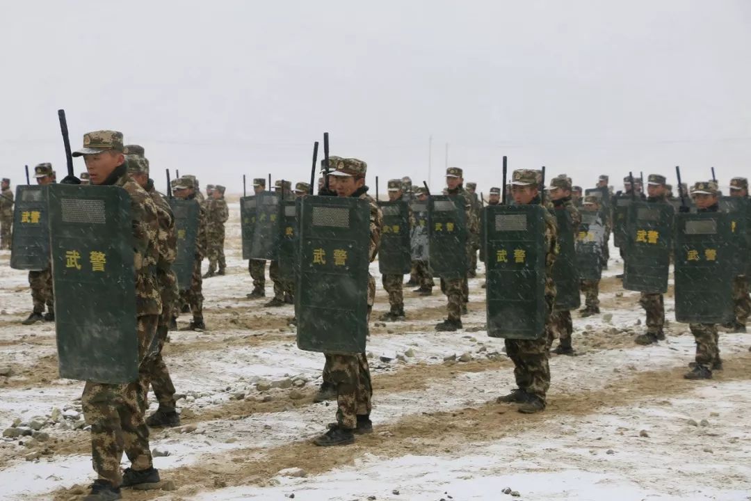 武警部队开训风雷动砺兵淬火鏖战急