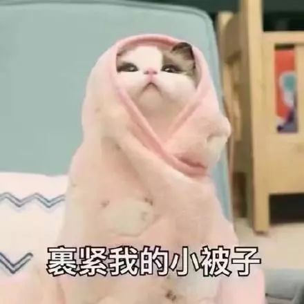 央视财经：大范围雨雪即将来袭！但寒冬腊月，杭州22℃？！我在北方堆雪人，你在江南吃冰棍儿