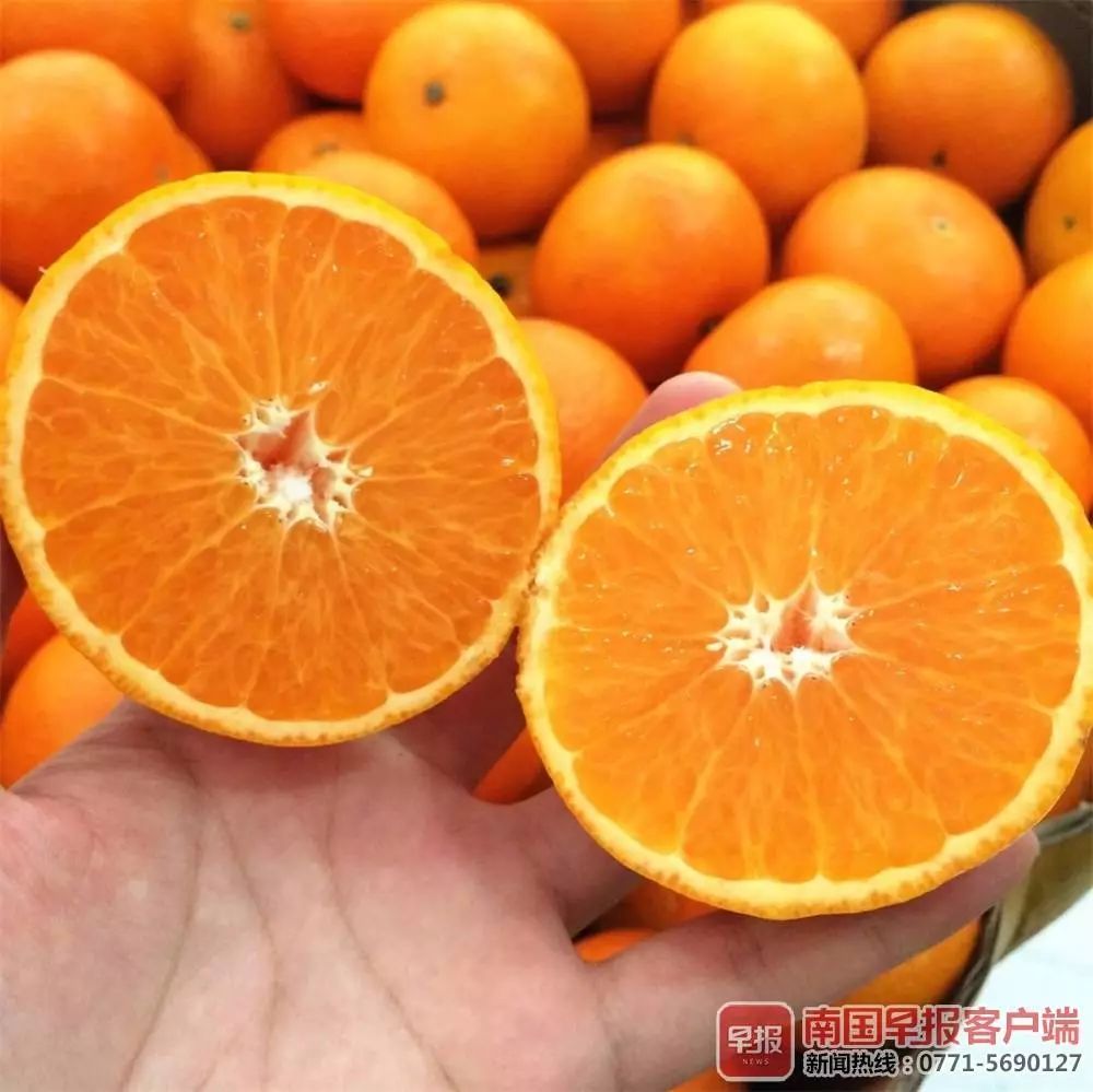 多款高端水果有了"本地版",价格更便宜!