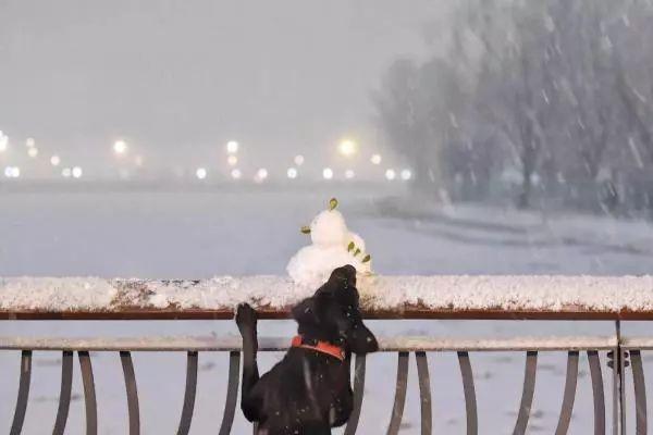 「中国之声」2020第一场雪刷爆朋友圈！为啥雪景总赶上故宫闭馆？气象部门回应亮了