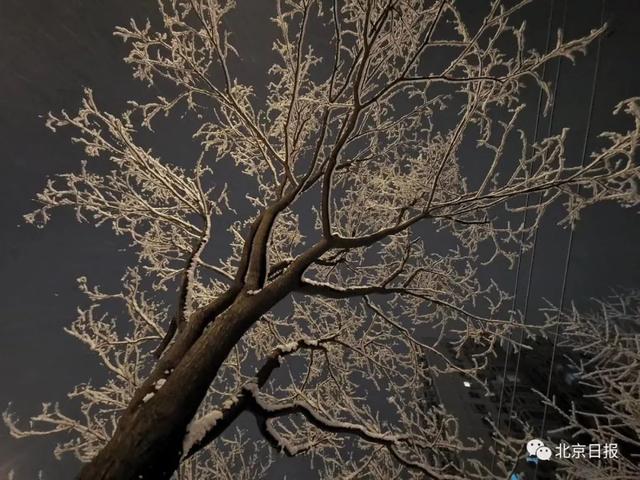 「中国之声」2020第一场雪刷爆朋友圈！为啥雪景总赶上故宫闭馆？气象部门回应亮了
