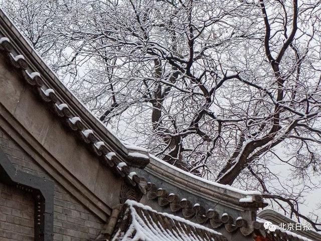「中国之声」2020第一场雪刷爆朋友圈！为啥雪景总赶上故宫闭馆？气象部门回应亮了