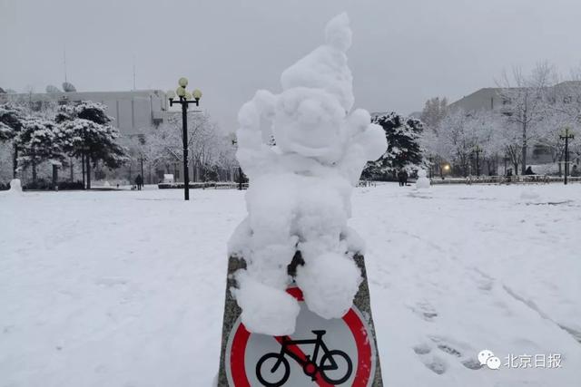 「中国之声」2020第一场雪刷爆朋友圈！为啥雪景总赶上故宫闭馆？气象部门回应亮了