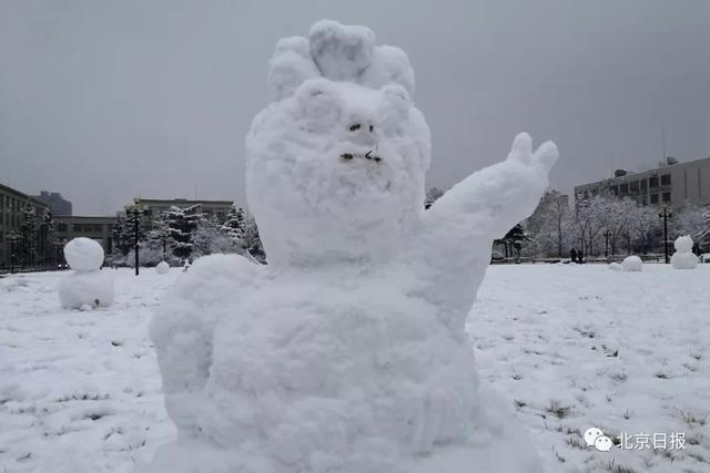 「中国之声」2020第一场雪刷爆朋友圈！为啥雪景总赶上故宫闭馆？气象部门回应亮了