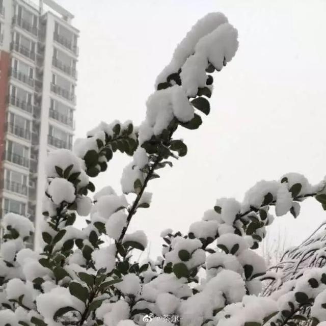 「中国之声」2020第一场雪刷爆朋友圈！为啥雪景总赶上故宫闭馆？气象部门回应亮了