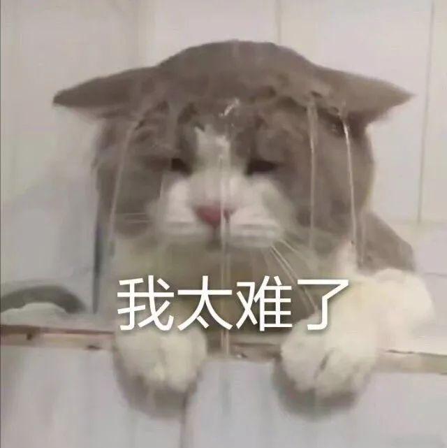 「中国之声」2020第一场雪刷爆朋友圈！为啥雪景总赶上故宫闭馆？气象部门回应亮了