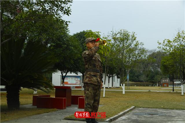 「中国军网」你的司号员上线啦！“听听”他们军号声里的故事
