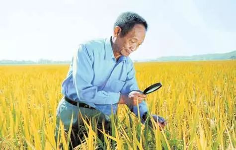 工人日报：你造吗？“梗王”袁隆平又上热搜，绝不仅因为帅