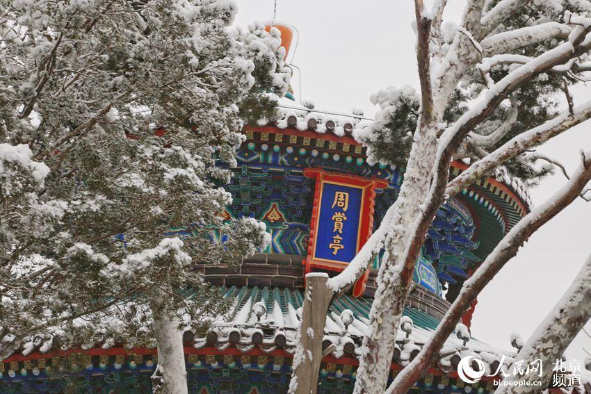 #人民网-北京频道#组图：2020年初雪至 北京景山公园变身雪后打卡地