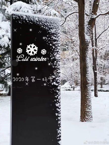 「央视新闻」要问哪里的雪下得那么认真那么深？答曰：微博和朋友圈呀！