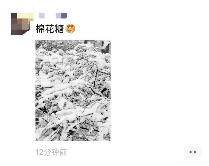 「央视新闻」要问哪里的雪下得那么认真那么深？答曰：微博和朋友圈呀！