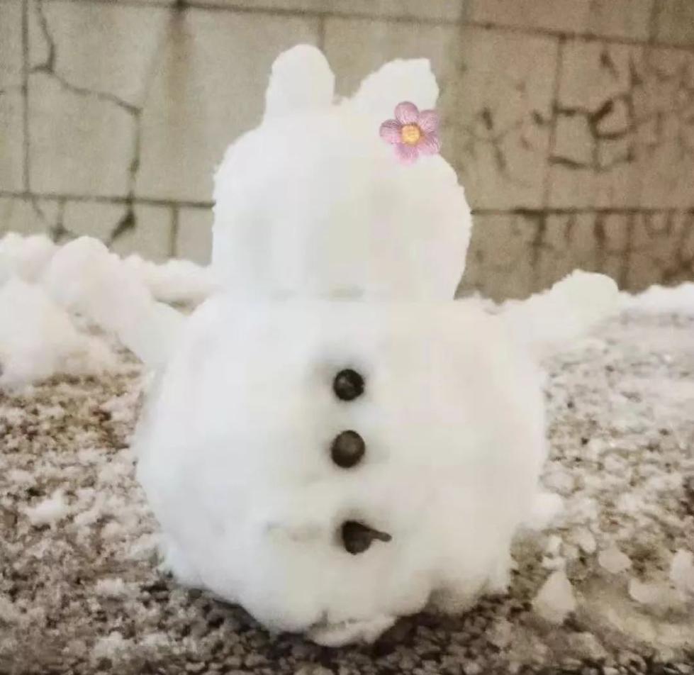「央视新闻」要问哪里的雪下得那么认真那么深？答曰：微博和朋友圈呀！