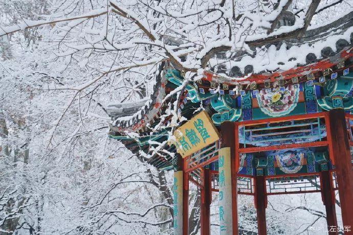 「央视新闻」要问哪里的雪下得那么认真那么深？答曰：微博和朋友圈呀！