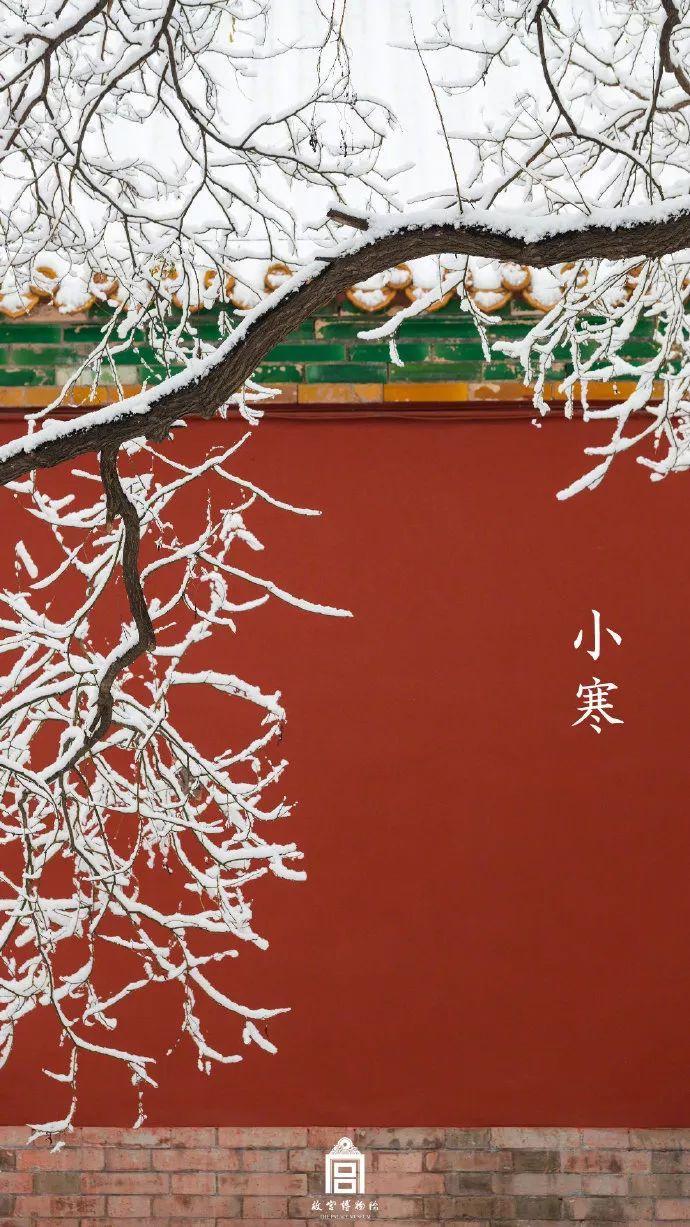 「央视新闻」要问哪里的雪下得那么认真那么深？答曰：微博和朋友圈呀！