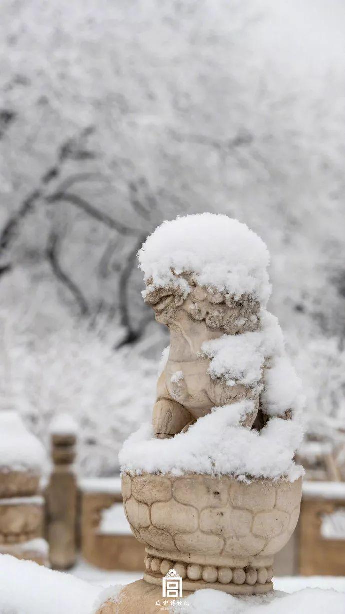 「央视新闻」要问哪里的雪下得那么认真那么深？答曰：微博和朋友圈呀！