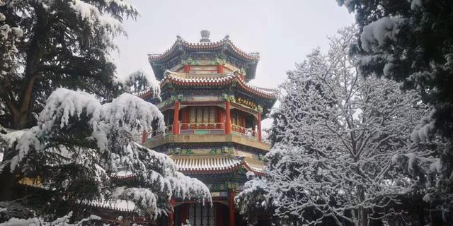 【北京日报客户端】2020年第一场雪，超20万游客雪中游园