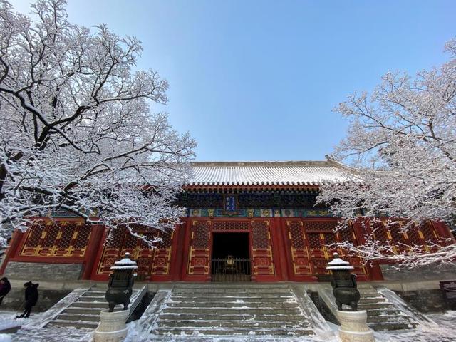 【北京日报客户端】2020年第一场雪，超20万游客雪中游园