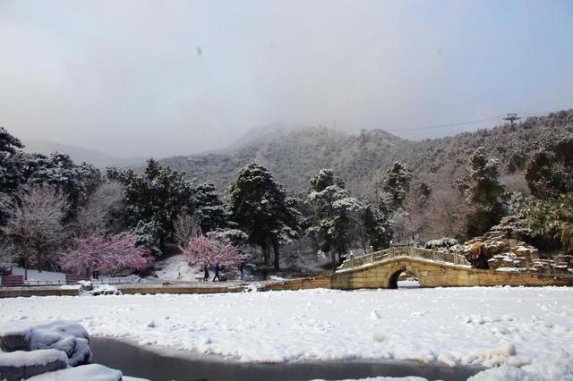【北京日报客户端】2020年第一场雪，超20万游客雪中游园