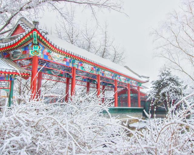 【北京日报客户端】2020年第一场雪，超20万游客雪中游园
