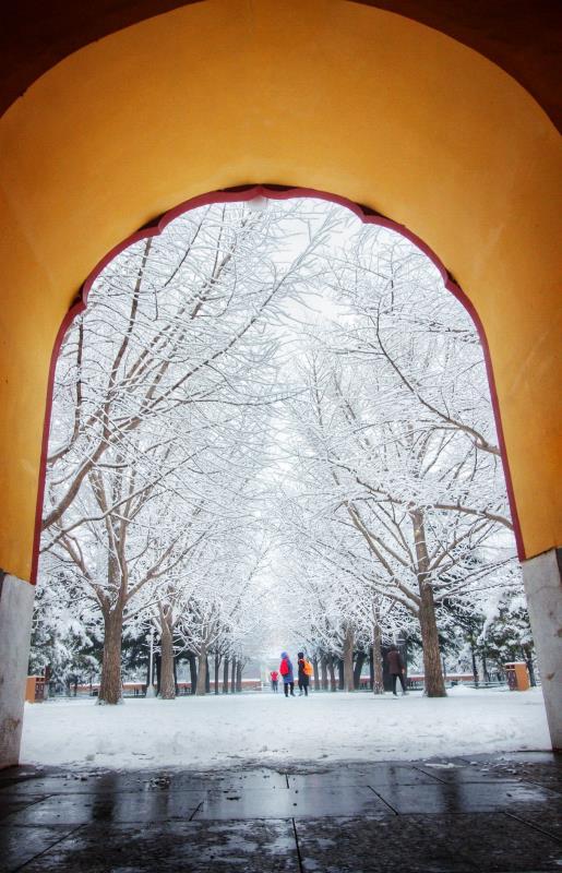 【北京日报客户端】2020年第一场雪，超20万游客雪中游园