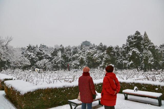 【北京日报客户端】2020年第一场雪，超20万游客雪中游园