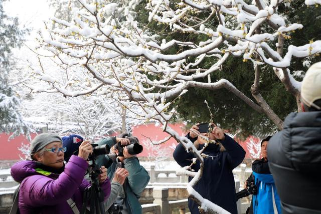 【北京日报客户端】2020年第一场雪，超20万游客雪中游园