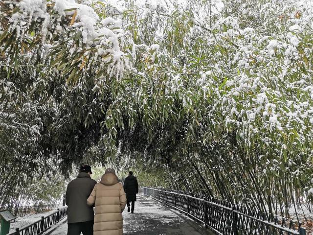 【北京日报客户端】2020年第一场雪，超20万游客雪中游园