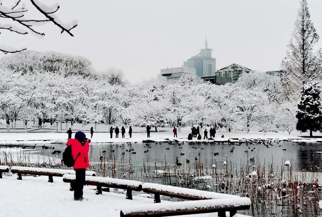 【北京日报客户端】2020年第一场雪，超20万游客雪中游园