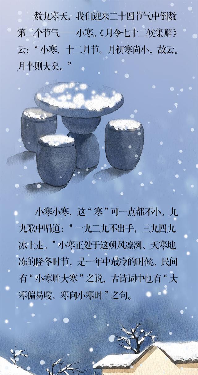 「新闻晨报」小寒·长卷丨梅花先趁小寒开，到诗词里踏雪寻梅