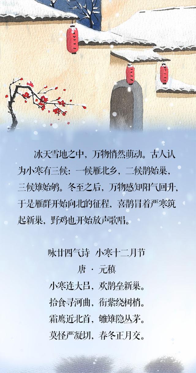 「新闻晨报」小寒·长卷丨梅花先趁小寒开，到诗词里踏雪寻梅