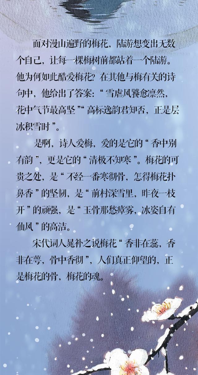 「新闻晨报」小寒·长卷丨梅花先趁小寒开，到诗词里踏雪寻梅