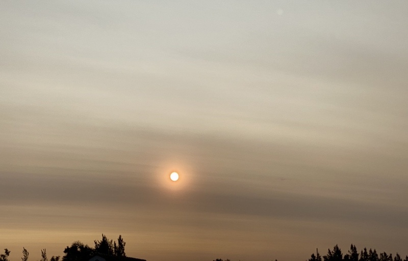 【中央广电总台央视新闻客户端】澳大利亚山火浓烟漂洋过海影响智利和阿根廷