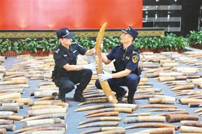 「人民网」保护濒危物种各地在行动