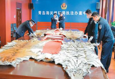 「人民网」保护濒危物种各地在行动