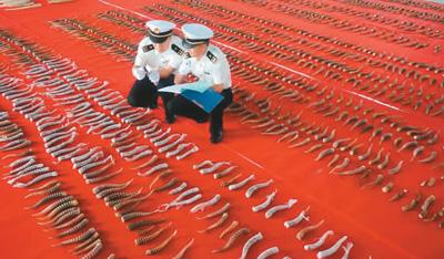 「人民网」保护濒危物种各地在行动