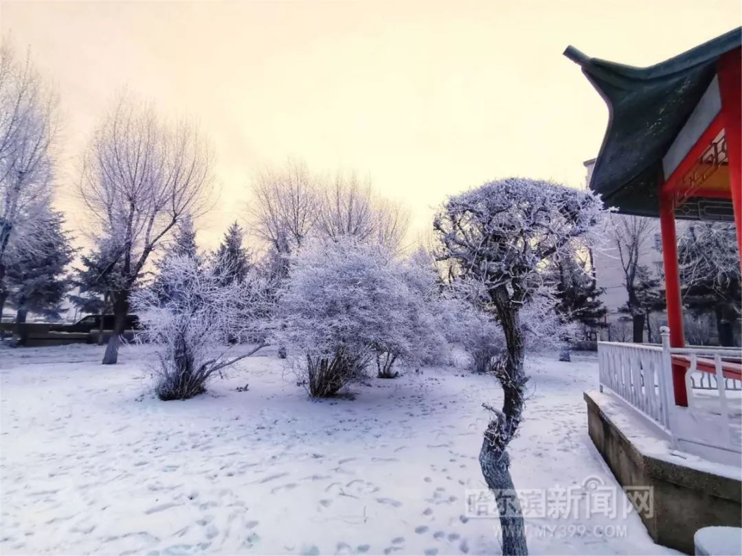 超美:哈爾濱高校雪景刷屏,快看有沒有你的母校 ↘