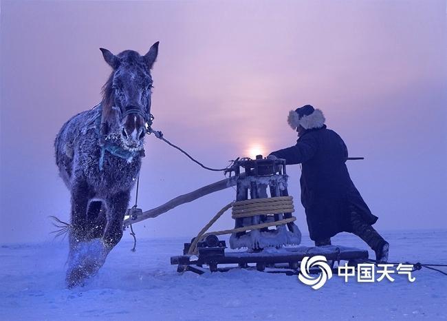 【中国天气网】三九真的最冷吗？大数据告诉你数九都有啥讲究！